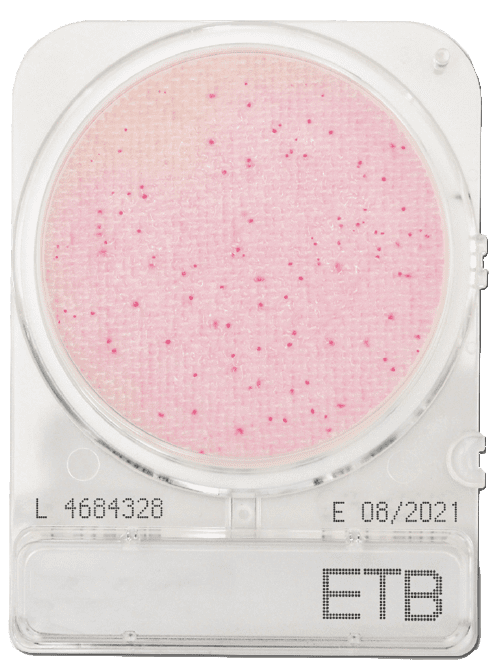 CompactDry ETB (Enterobacteriaceae), cx. 1400 placas