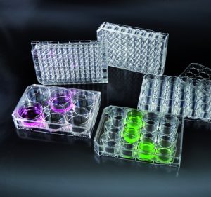 Microplaca de 6 poços, estéril, não tratada, fundo plano, cx. 50 unid´s